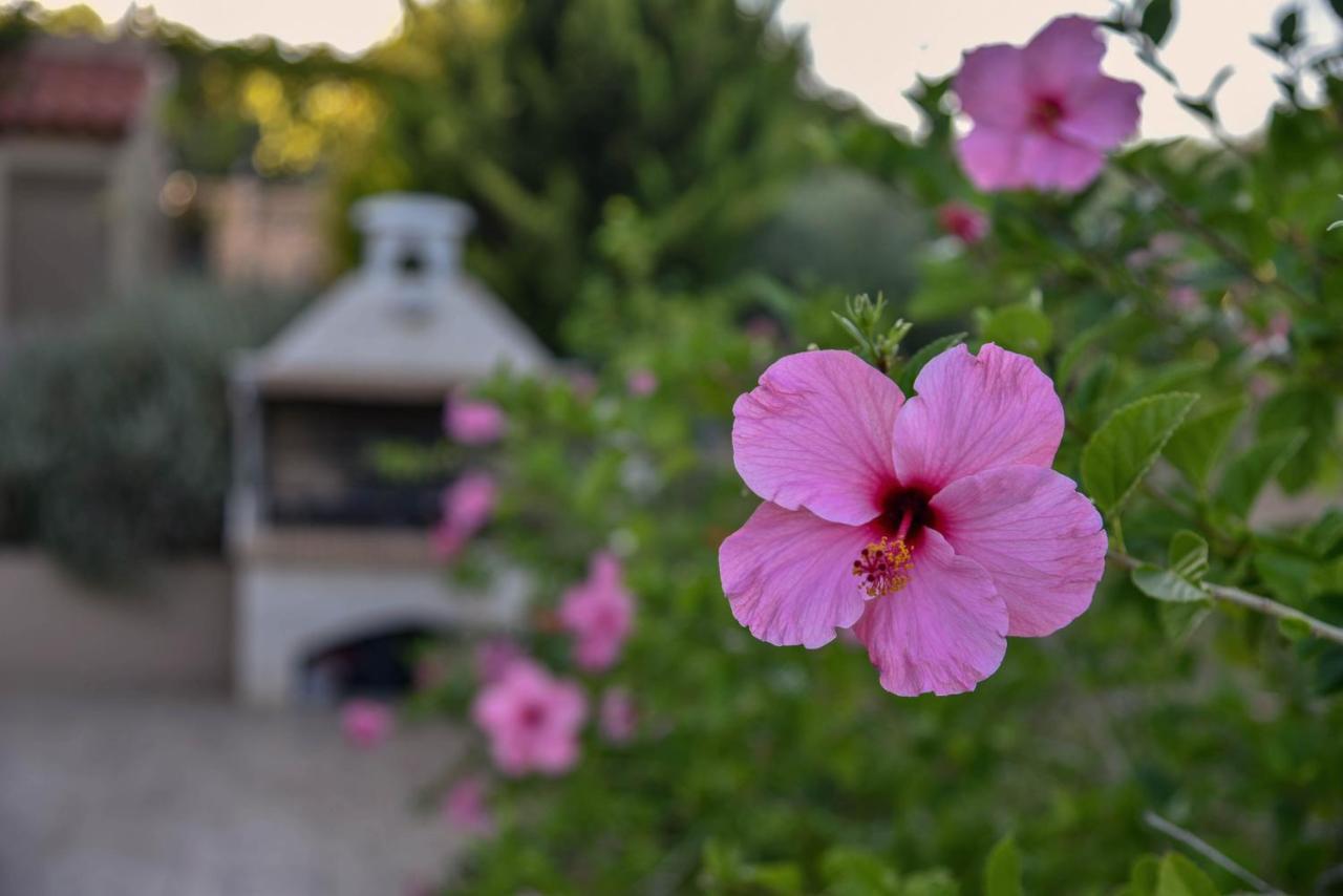 Villabayviewcrete Hersonissos (Crete) Exterior foto